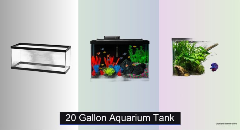 9 Best 20 Gallon Aquarium Tanks of 2026