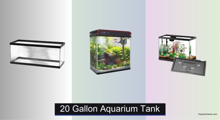 8 Best 20 Gallon Aquarium Tanks of 2026