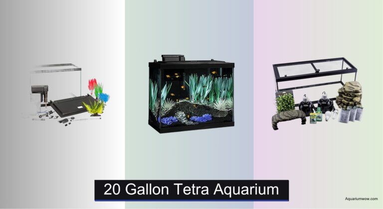 3 Best 20 Gallon Tetra Aquariums of 2026