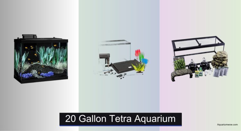 3 Best 20 Gallon Tetra Aquariums of 2026