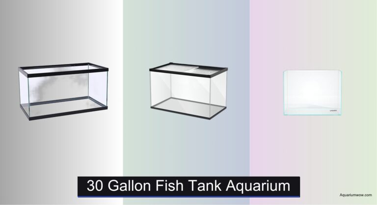 3 Best 30 Gallon Fish Tank Aquariums of 2026