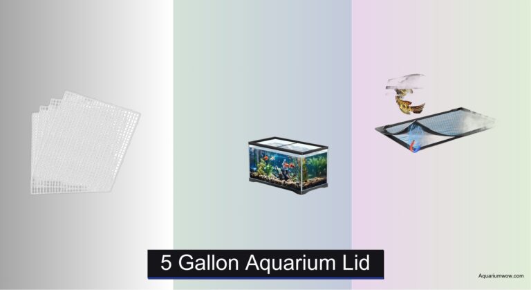 7 Best 5 Gallon Aquarium Lids of 2026