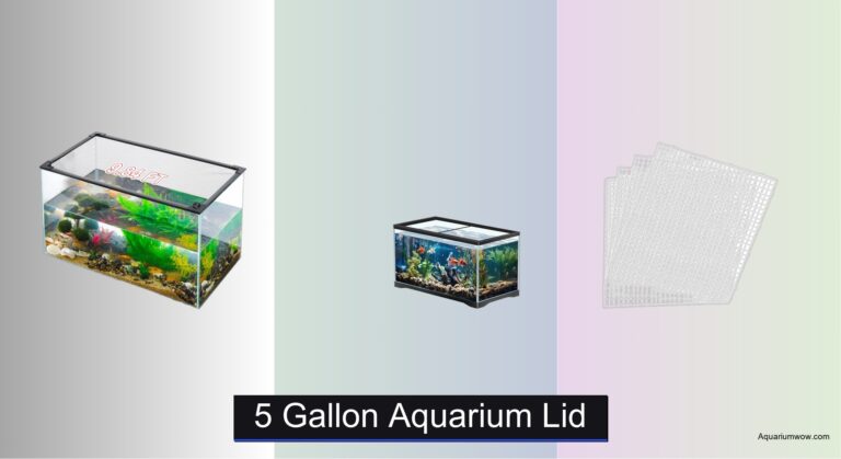 7 Best 5 Gallon Aquarium Lids of 2026