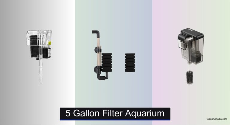 8 Best 5 Gallon Aquarium Filters of 2026