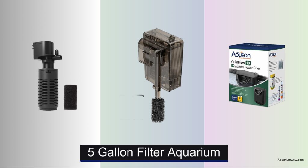 8 Best Aquarium 5 Gallon Filters of 2026 - Aquarium WOW