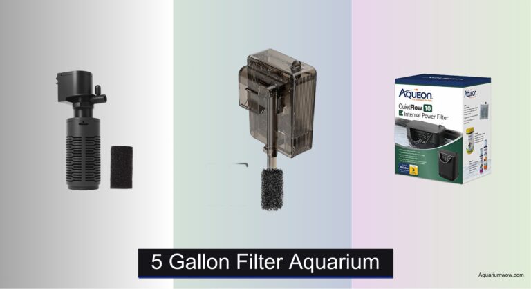 8 Best Aquarium 5 Gallon Filters of 2026
