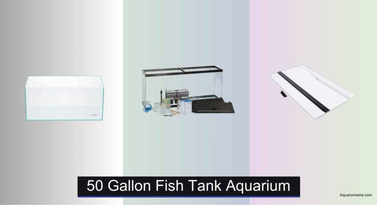 3 Best 50 Gallon Fish Tank Aquariums of 2026