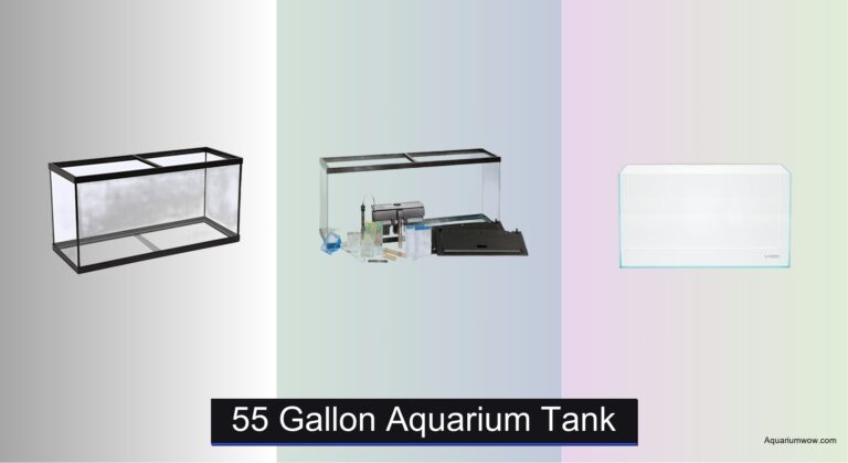 4 Best Aquarium Tanks 55 Gallon 2026
