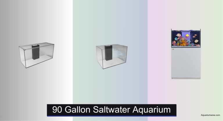 7 Best 90 Gallon Saltwater Aquariums of 2026