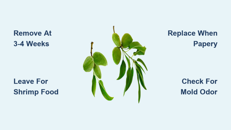 How Long to Leave Almond Leaves in Aquarium: Guide