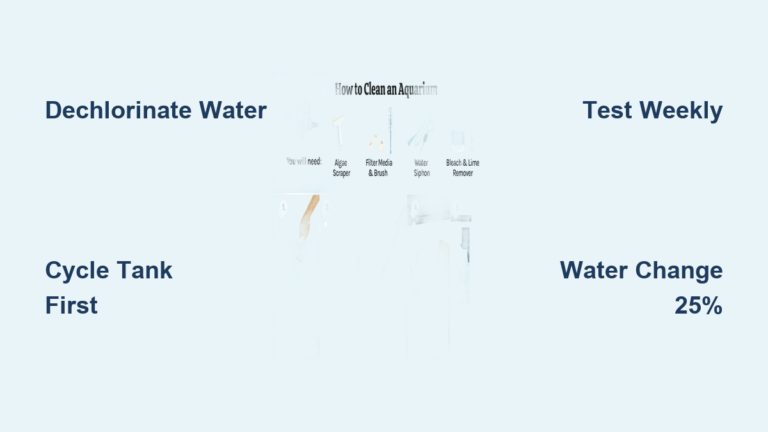 Aquarium Care for Beginners: Easy Tips to Start