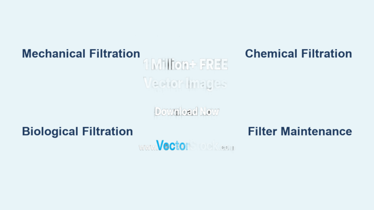 Aquarium Filtration Types Explained