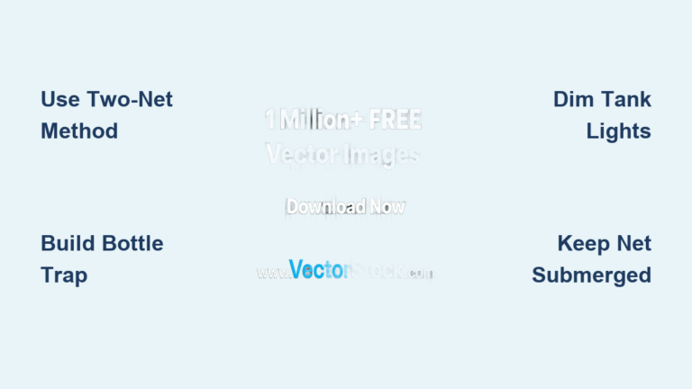 Best Fish Catching Tips for Aquariums 2026