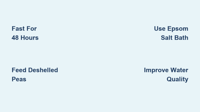 Aquarium Fish Swim Bladder Disease: Causes & Treatment