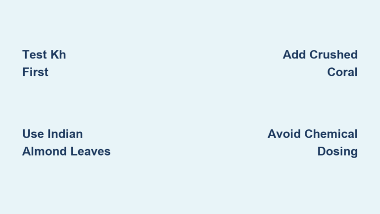 How to Adjust pH in Aquarium: Easy Steps
