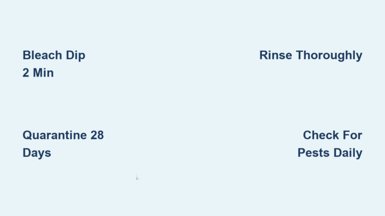 How to Clean Duckweed for Aquarium: Easy Steps