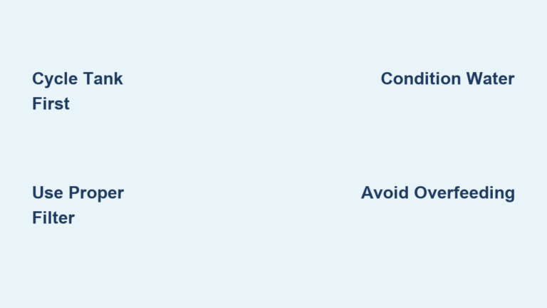 Fish Aquarium Setup: Complete Beginner’s Guide