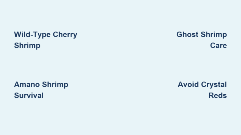 Types of Freshwater Aquarium Shrimp