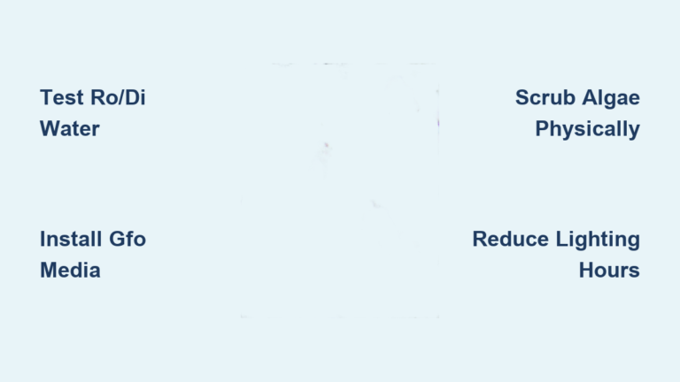 How to Remove Hair Algae from Saltwater Aquarium