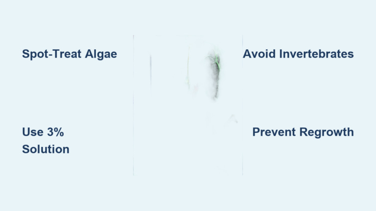 Hydrogen Peroxide for Aquarium Algae: Safe Removal Tips