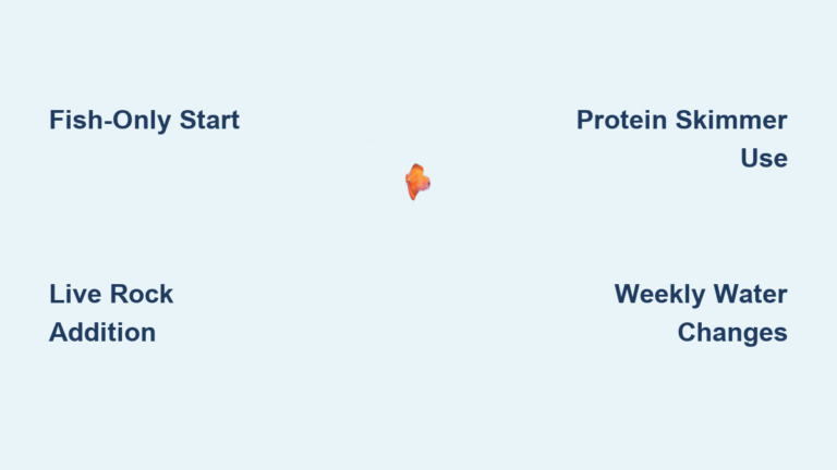 Best Marine Aquarium Setup (2026 Guide)