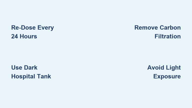 How Long Does Methylene Blue Last in Aquarium?