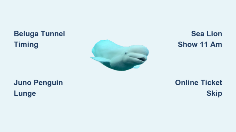 Mystic Aquarium Reviews: Honest Visitor Guide