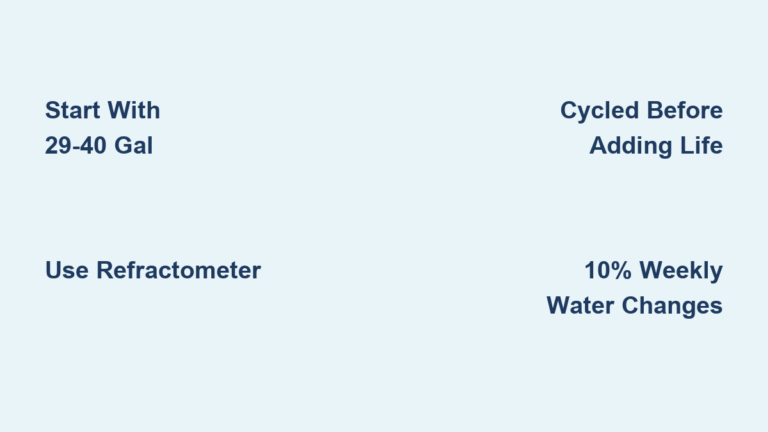 Nano Reef Aquarium Setup Guide 2026