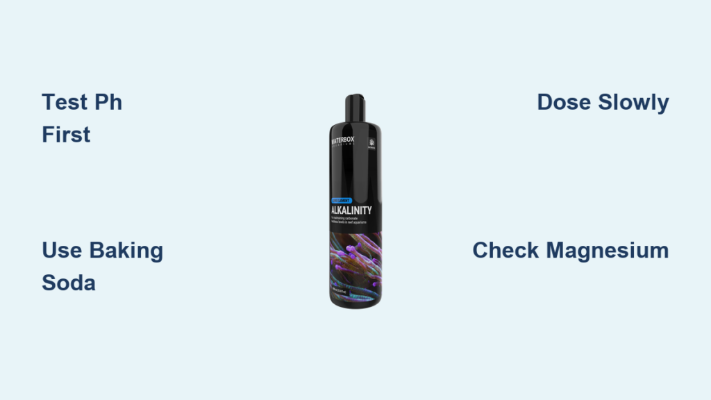 How to Increase Alkalinity in Saltwater Aquarium - Aquarium WOW