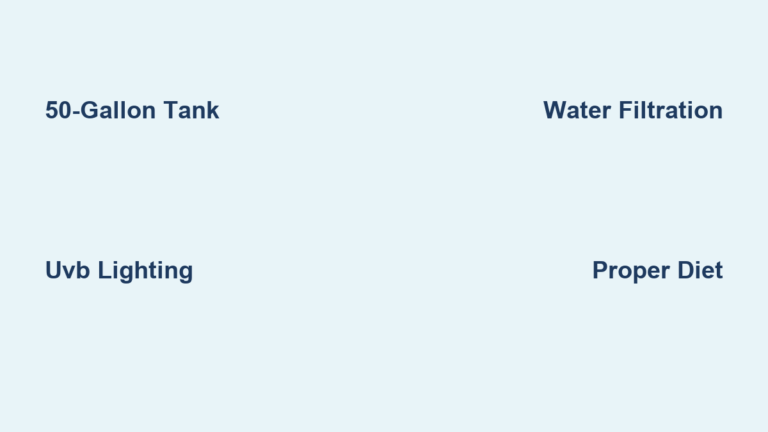 How to Care for Turtles in an Aquarium