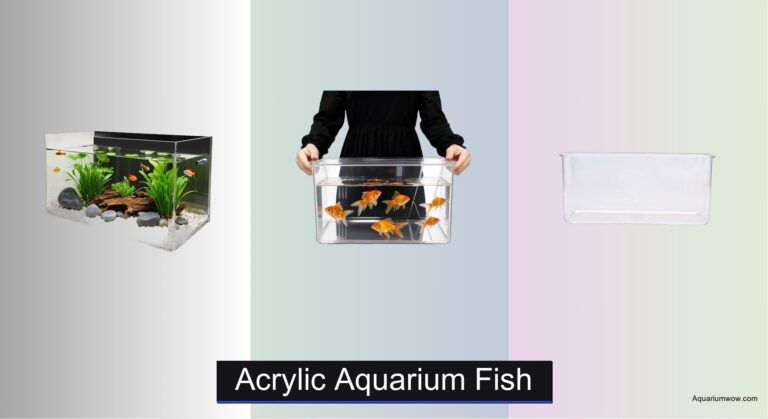 7 Best Acrylic Aquariums for Fish (2026 Guide)