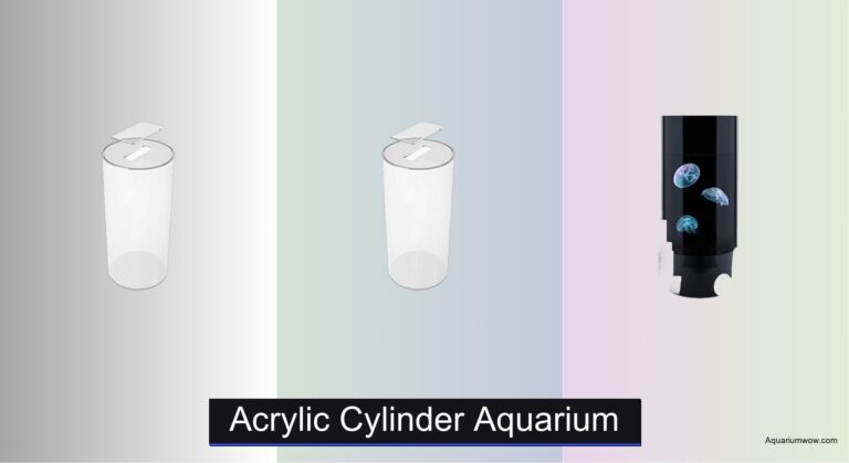 4 Best Acrylic Cylinder Aquariums of 2026