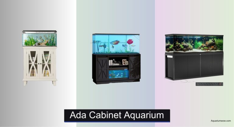 7 Best ADA Cabinet Aquariums of 2026