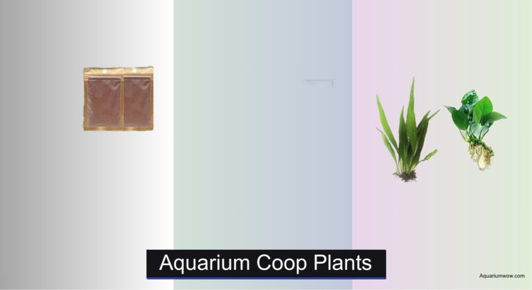 8 Best Aquarium Coop Plants of 2026