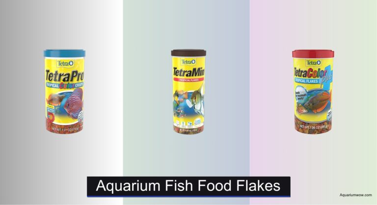 8 Best Aquarium Fish Food Flakes of 2026