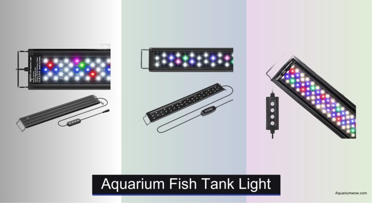 9 Best Aquarium Fish Tank Lights of 2026