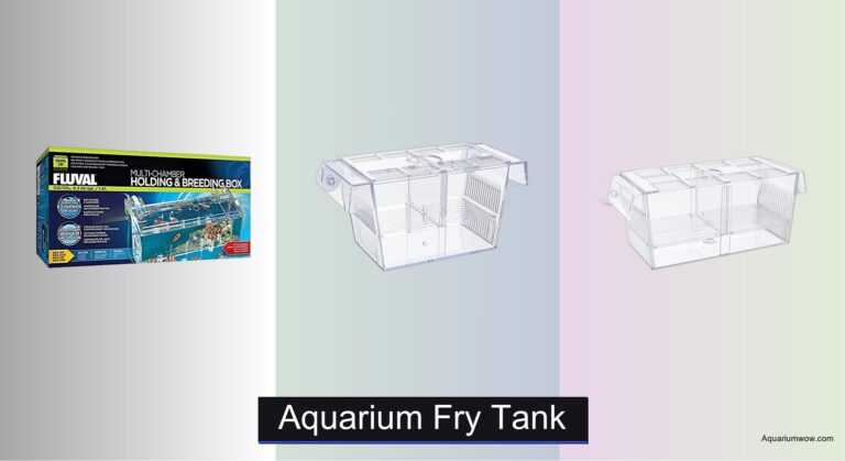8 Best Aquarium Fry Tanks of 2026