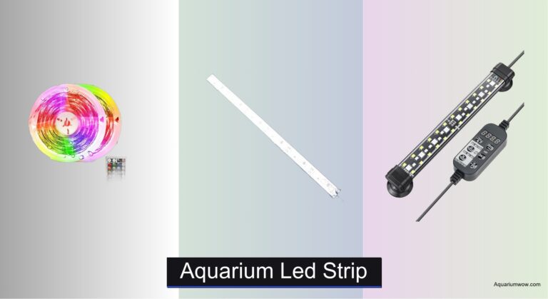 3 Best Aquarium LED Strips of 2026