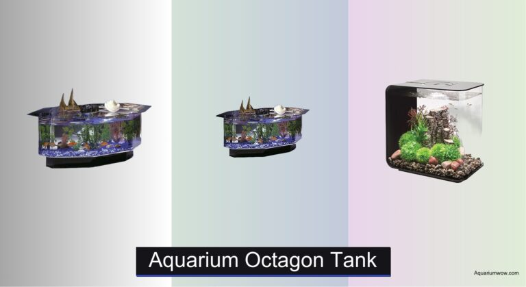4 Best Aquarium Octagon Tanks of 2026