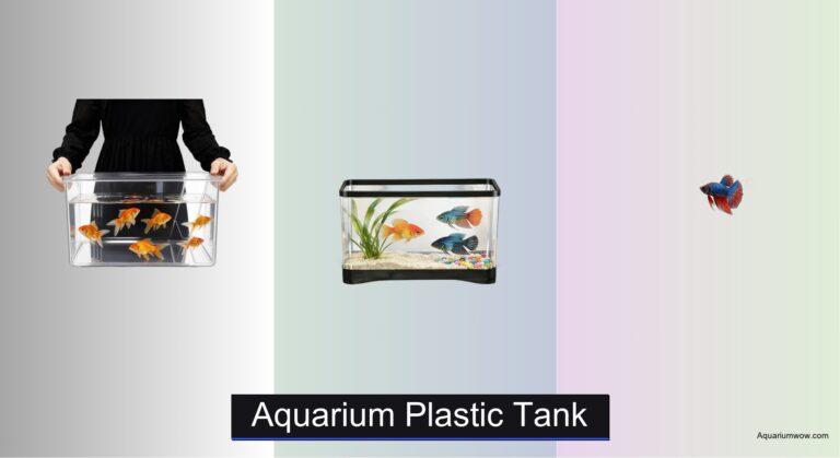 8 Best Aquarium Plastic Tanks of 2026