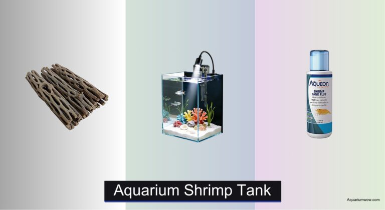5 Best Aquarium Shrimp Tanks of 2026