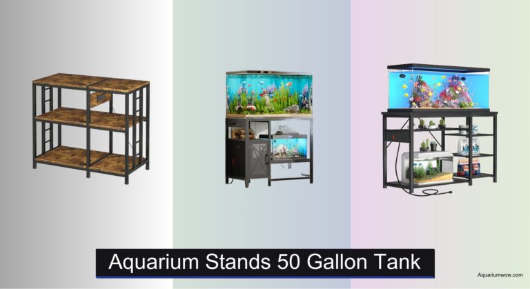 7 Best Aquarium Stands for 50 Gallon Tank 2026