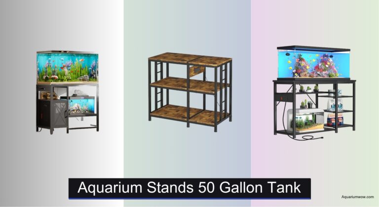 7 Best Aquarium Stands for 50 Gallon Tank 2026