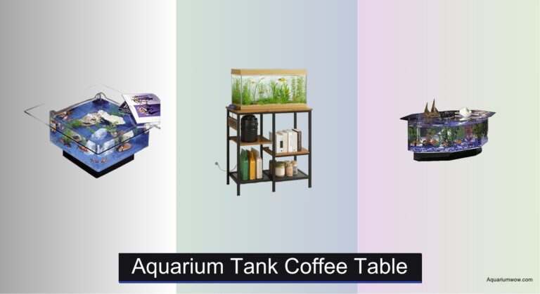 5 Best Aquarium Tank Coffee Tables of 2026