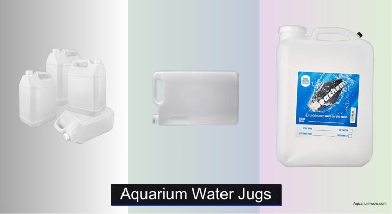 8 Best Aquarium Water Jugs of 2026