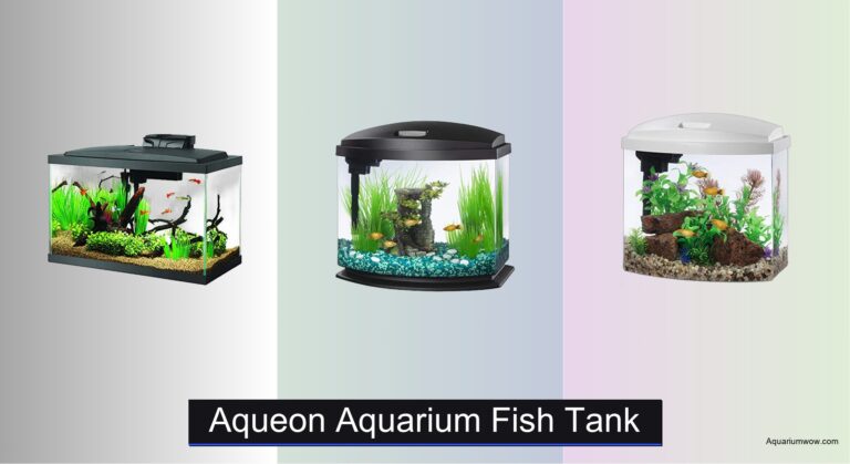 7 Best Aqueon Aquarium Fish Tanks of 2026