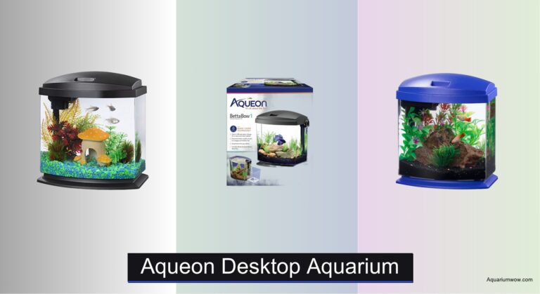 6 Best Aqueon Desktop Aquariums of 2026