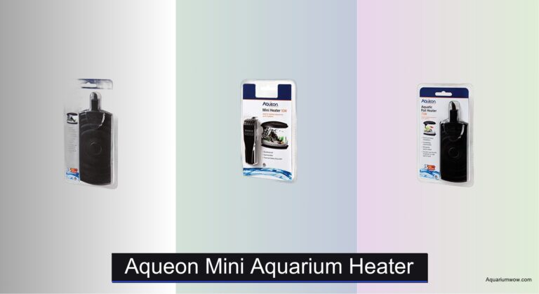6 Best Aqueon Mini Aquarium Heaters of 2026