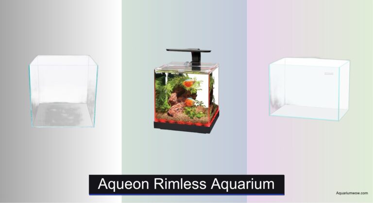 3 Best Aqueon Rimless Aquariums of 2026