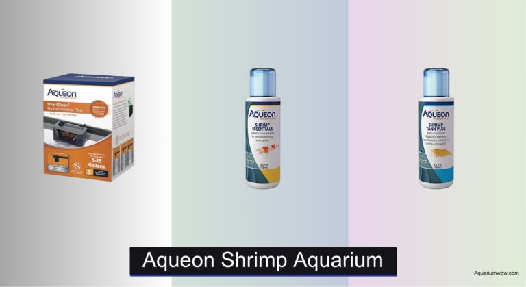 5 Best Aqueon Shrimp Aquariums of 2026